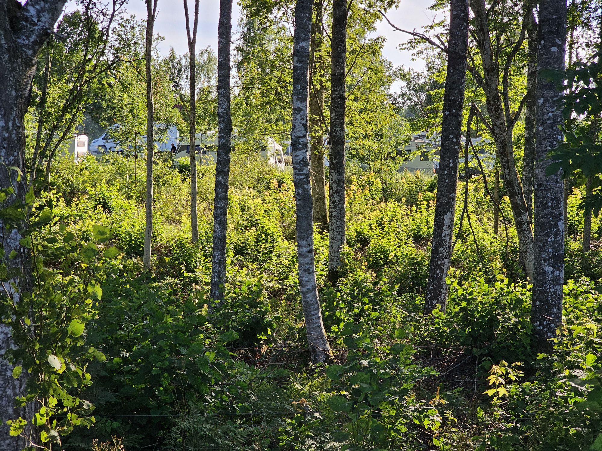 caravan doos bomen vanaf fietspad