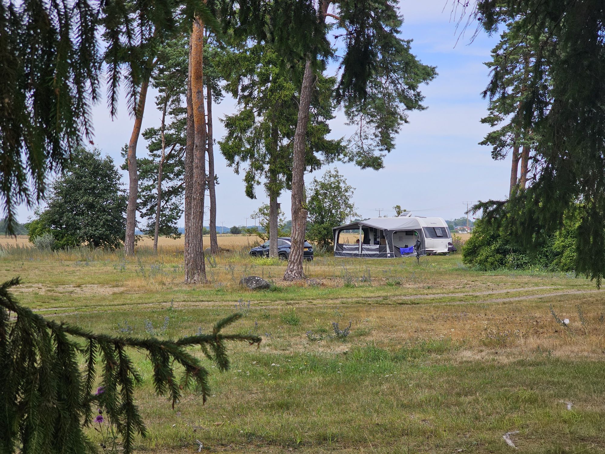 Sandvikscamping plaats 41