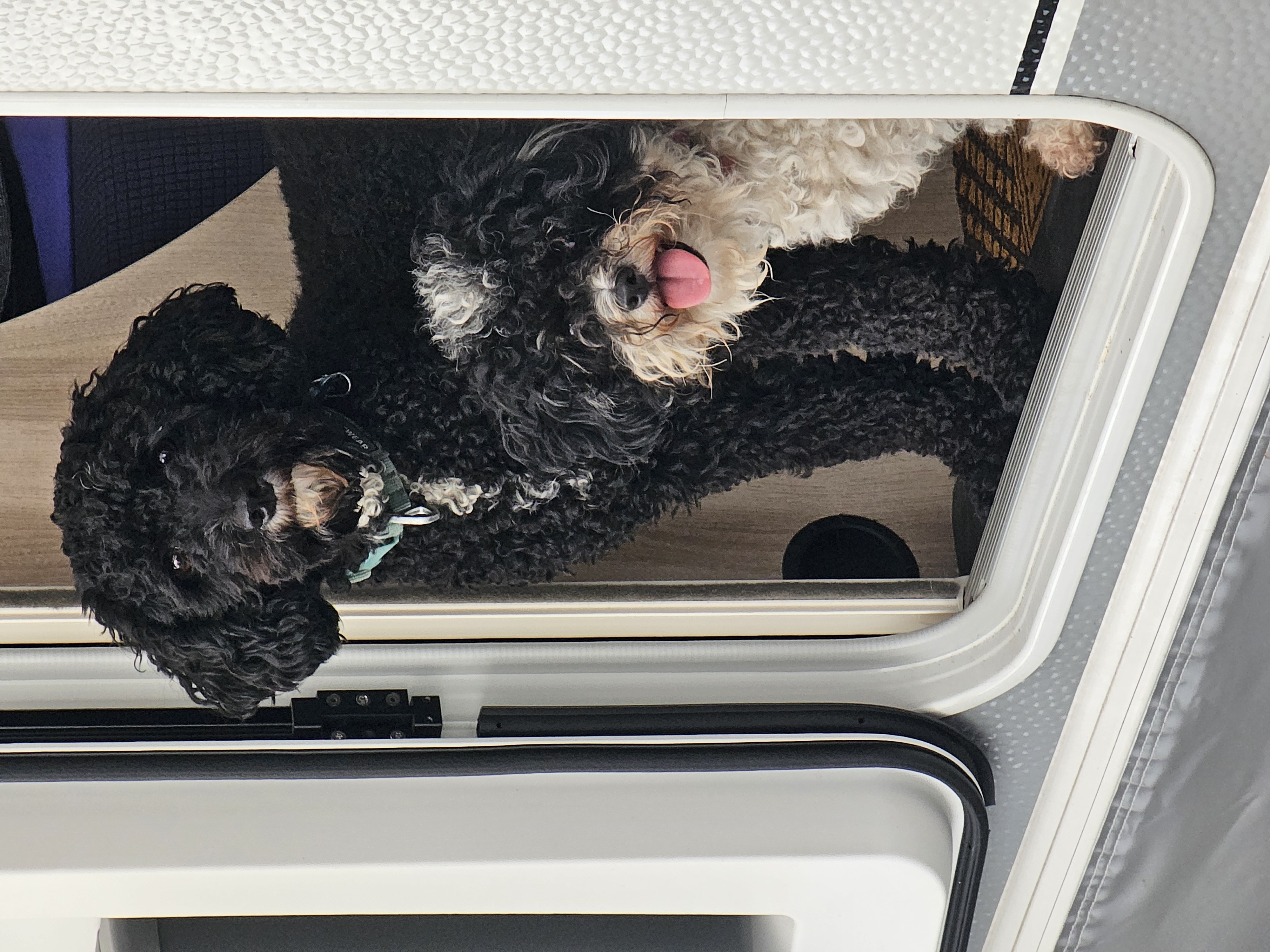 Puk en Suusje jaar later