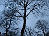 IMG_1142.JPG