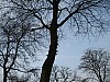 IMG_1146-doorns.JPG